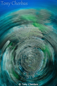 Slow Shutter Spin Out by Tony Cherbas 
